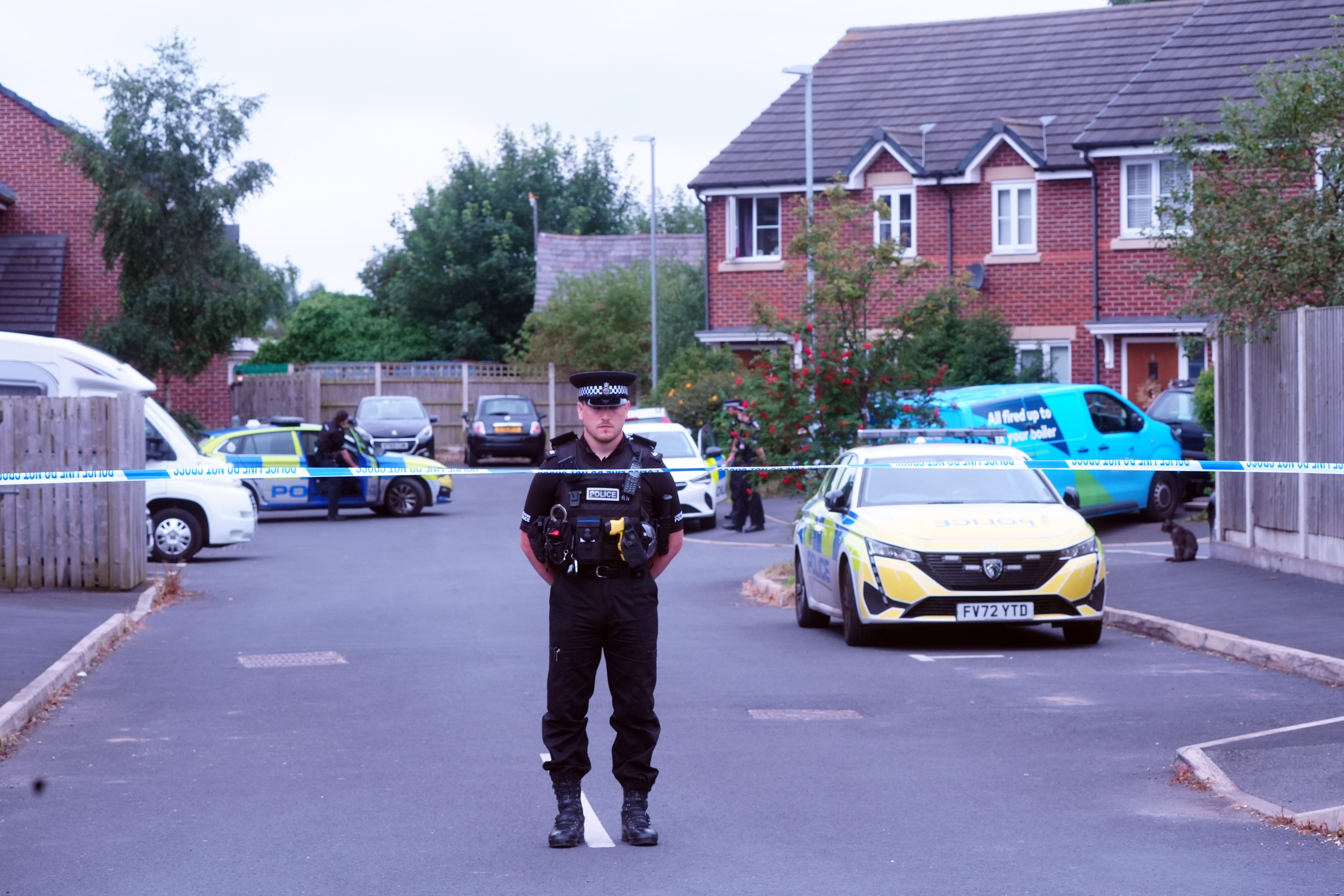 Violence obsessed Rudakubana had become a ‘near-total recluse’ at his family home in Old School Close, Banks