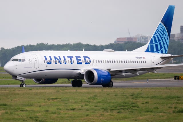 <p>A United Airlines plane is pictured at Reagan Airport, just outside of Washington, D.C. A threat was made against a United plane at DCA Tuesday afternoon, temporarily halting air traffic at the airport</p>