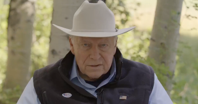 <p>Dick Cheney in 2022</p>