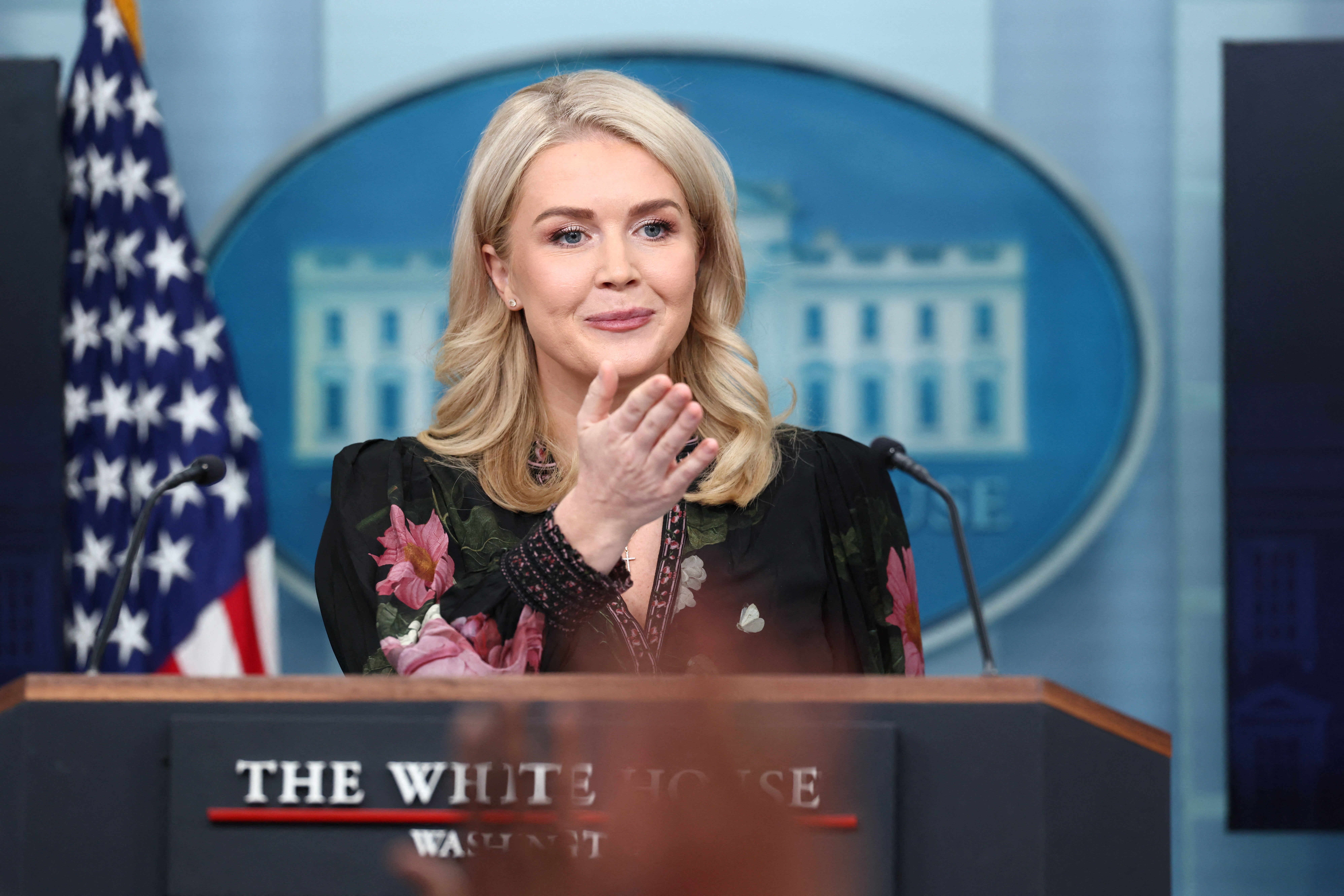 <p>Donald Trump's press secretary, Karoline Leavitt</p>