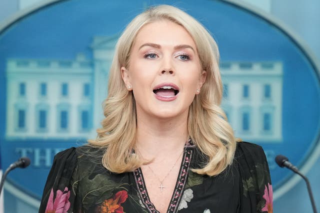 <p>White House Press Secretary Karoline Leavitt speaks to reporters during a press briefing on November 4, 2025</p>