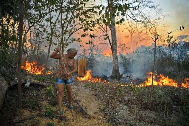 <p>A woman clears leaves as a fire approaches her house in an area of the Para state Amazon rainforest. New data further exposes the health costs of the fires</p>