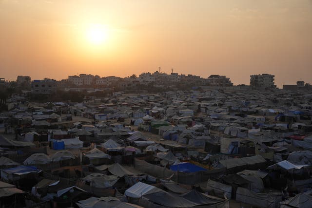 <p>Displaced Palestinians in the Gaza Strip</p>