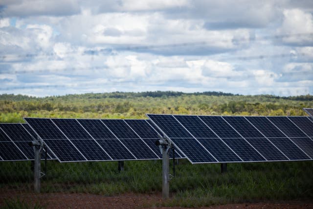 <p>File. A solar panel farm in Batchelor, Australia</p>