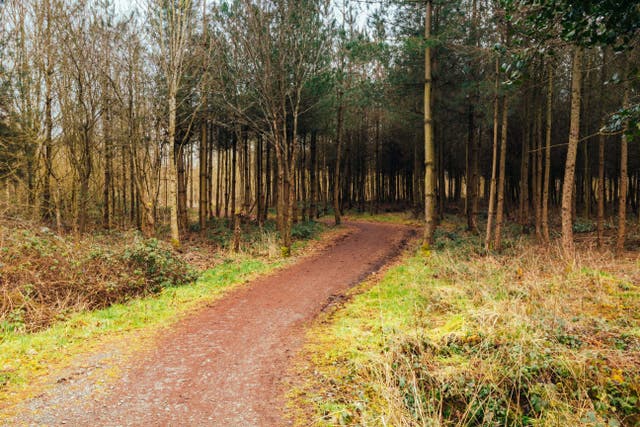 A new national forest has been confirmed for the Oxford Cambridge corridor (Alamy/PA)