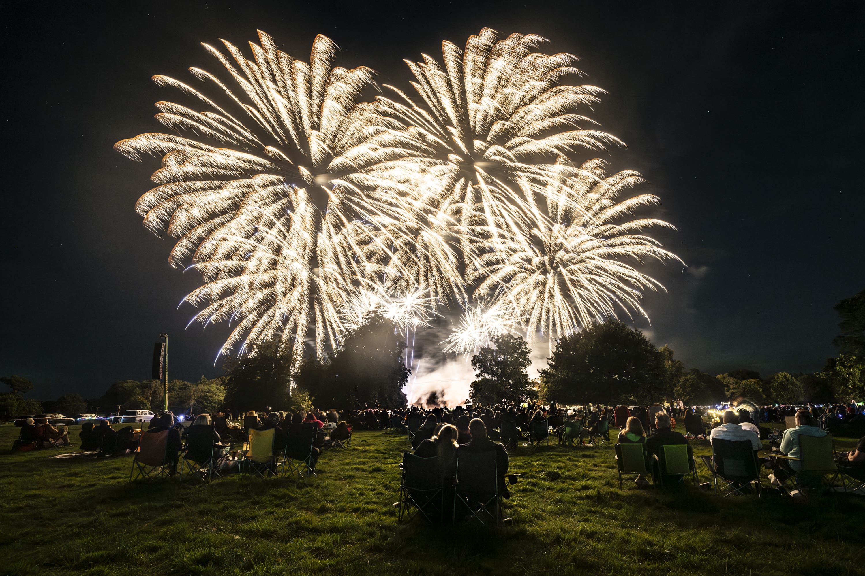 <p>‘Nobody needs fireworks at random. Limiting them to professional public displays for national holidays such as Bonfire Night, Eid, Diwali, and the two New Years would give everyone a really good show’</p>