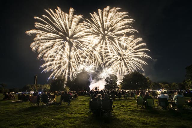 <p>‘Nobody needs fireworks at random. Limiting them to professional public displays for national holidays such as Bonfire Night, Eid, Diwali, and the two New Years would give everyone a really good show’</p>