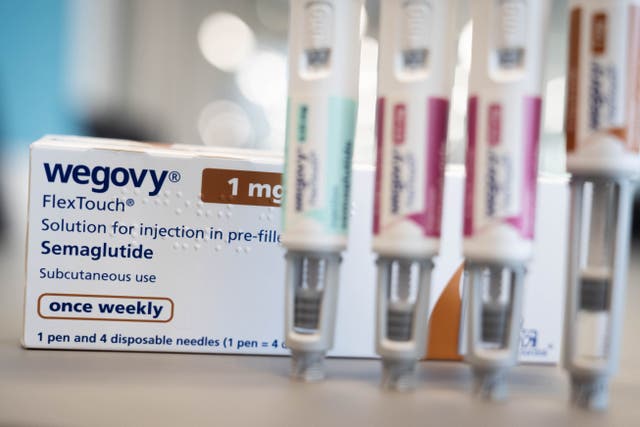 Wegovy maker Novo Nordisk cut sales and profit guidance (James Manning/PA)