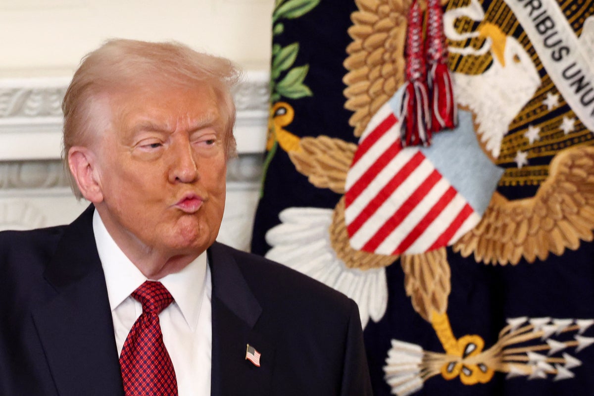 ‘They’re really bad for the party’: Republican strategists say Democrats now have the momentum into 2026