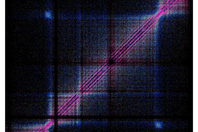 The human genome comprises about 3.2 billion base pairs of DNA per cell (University of Oxford/PA)