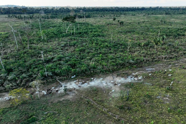 Climate Interpol Operation