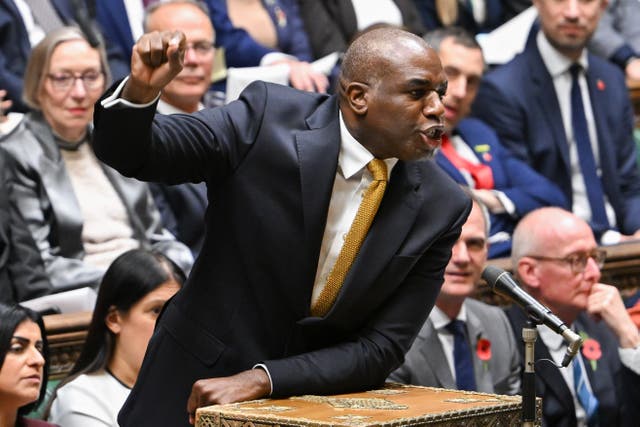 <p>Tall poppy syndrome: In a room full of flowers, the absence of one on David Lammy’s lapel stood out</p>