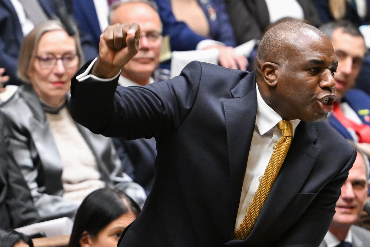 Performative poppy wearing has turned toxic – should we be wearing white poppies instead? Performative poppy wearing has turned toxic – should we be wearing white poppies instead?