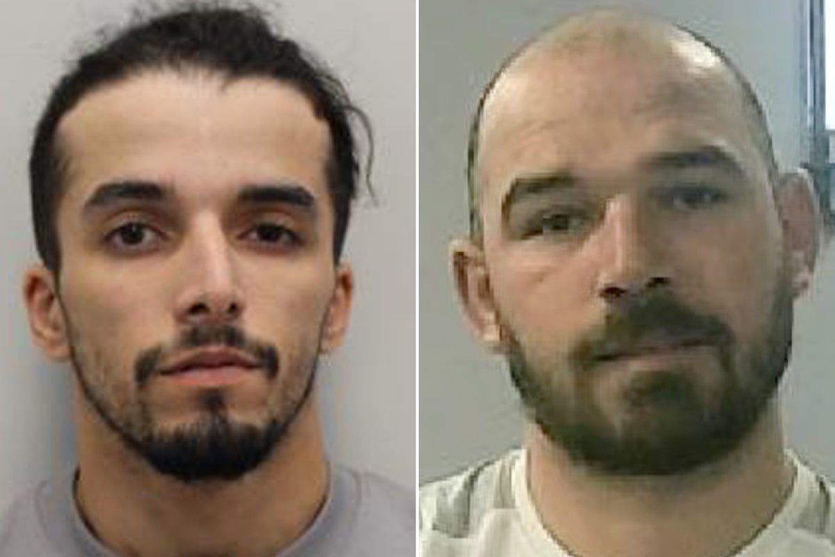 Double manhunt as two more prisoners wrongly released in jail blunder