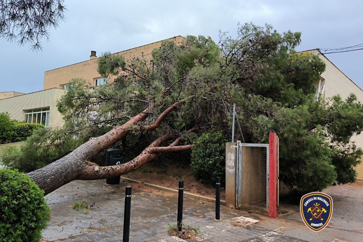 Spain struck by horror floods leaving high streets submerged and dozens of flights cancelled