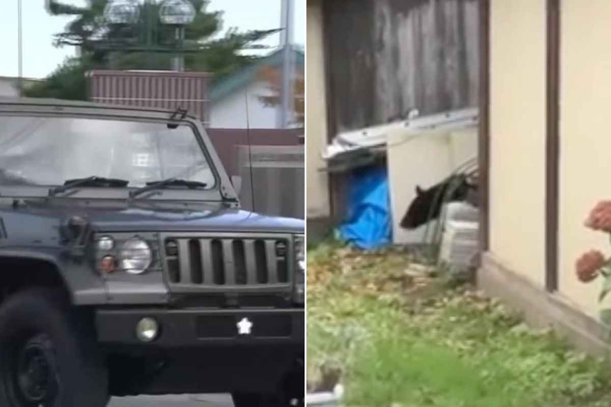 Troops deployed in northern Japan to help stop bear attacks after surge in casualties