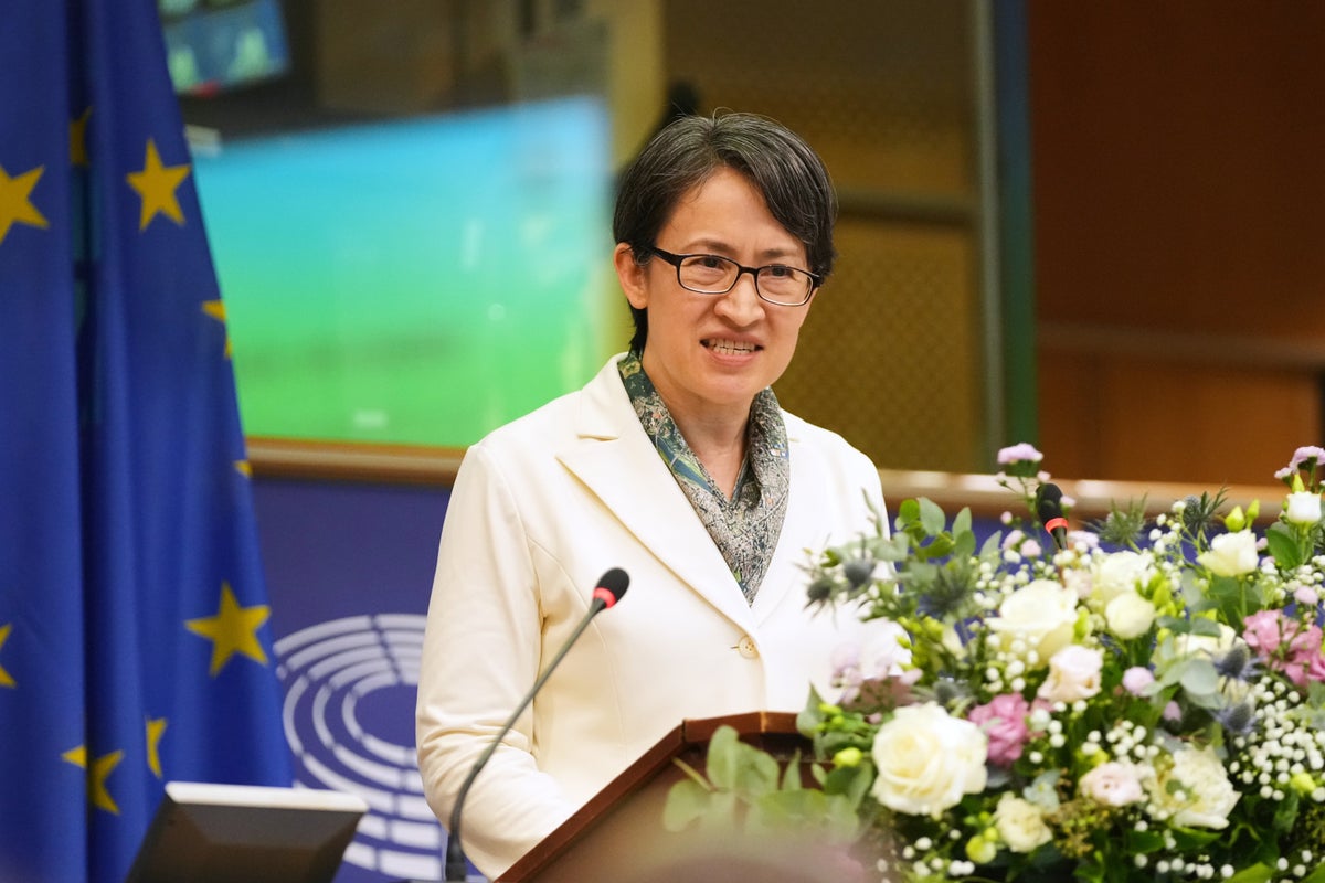 Taiwan's vice president calls for closer EU ties in rare address to international lawmakers