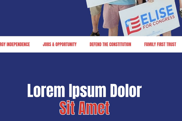 <p>Rep. Elise Stefanik’s gubernatorial campaign website allegedly launched with spelling errors and filler text</p>