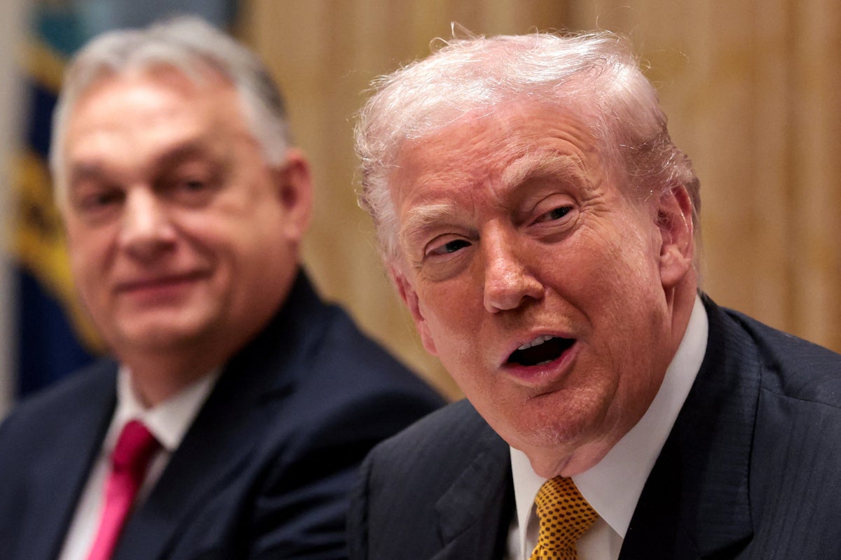 Trump, Salı günkü mavi tsunami kayıplarına rağmen, üç kelimelik planının GOP'u "bir daha asla seçim kaybetmeyecek" şekilde ayarlayacağını iddia ediyor