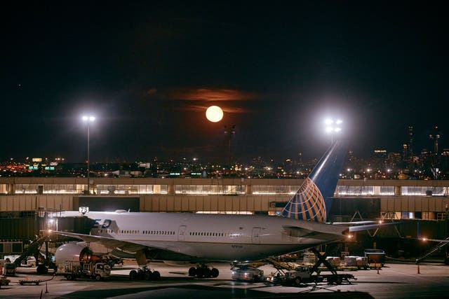 <p>More than 800 flights are expected to be grounded in the US on Friday</p>