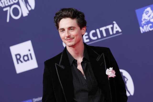 <p>Timothee Chalamet</p>