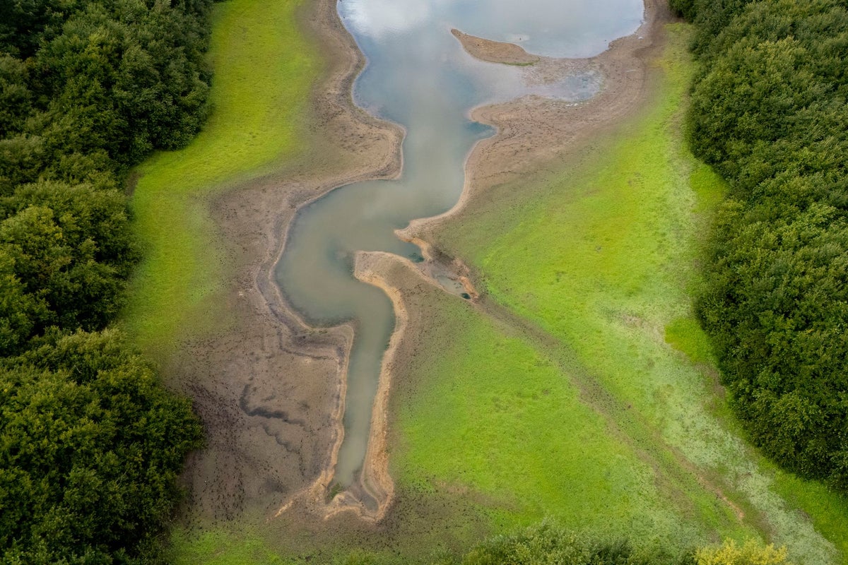 England faces worst drought in decades as companies prepare to take drastic measures