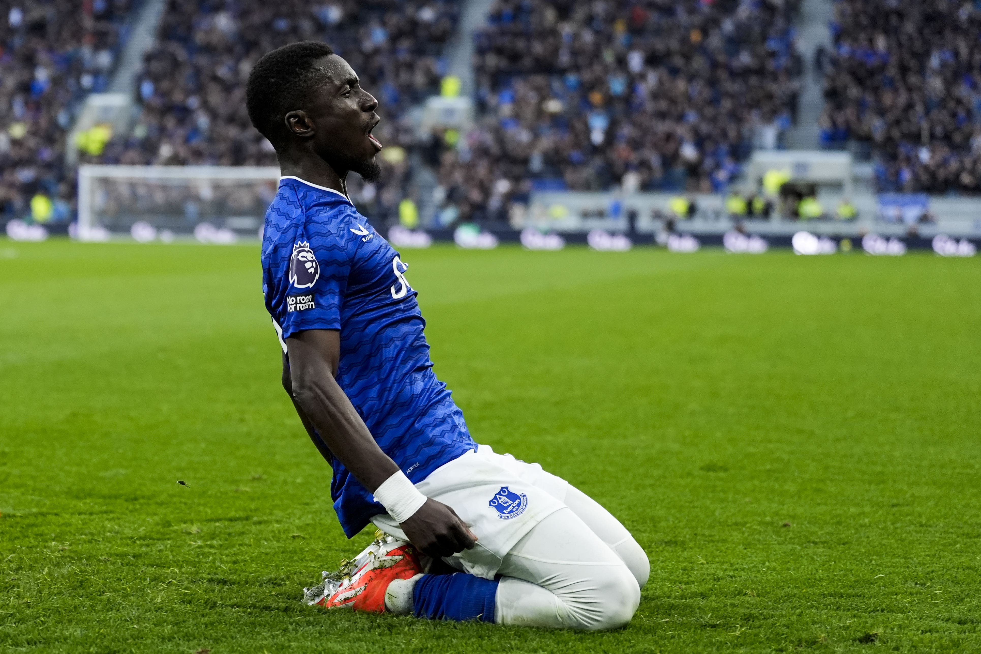 Idrissa Gueye celebrates his goal against Fulham (Peter Byrne/PA)