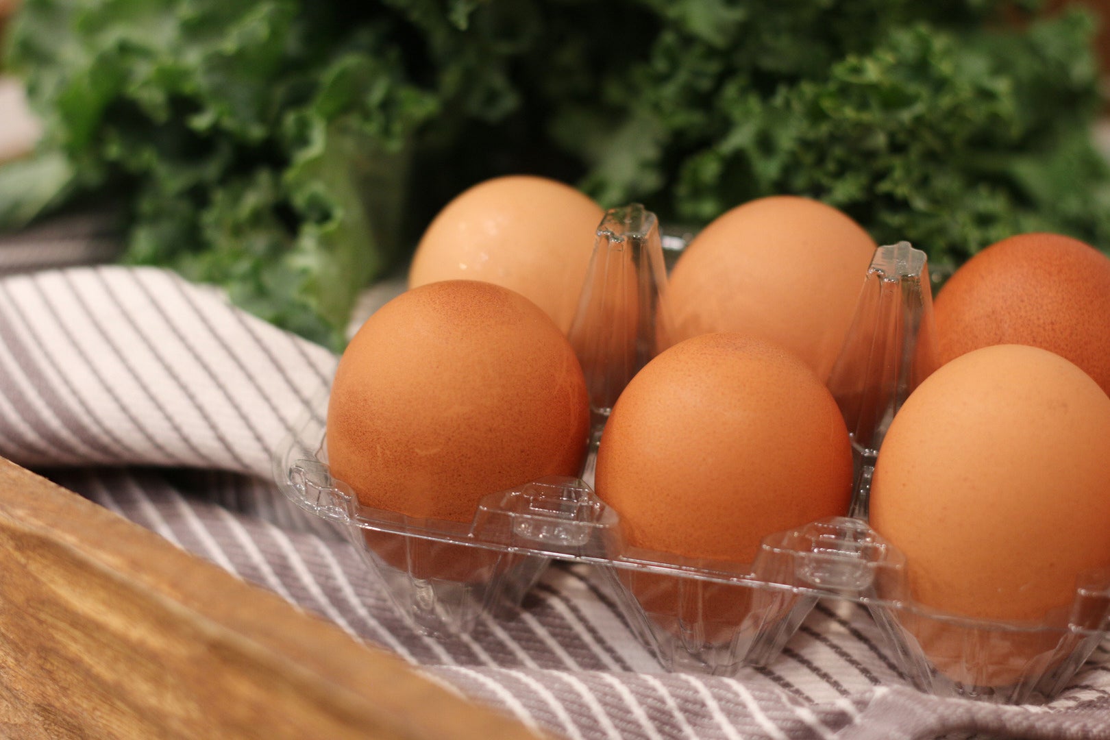 Be Well Food Storage