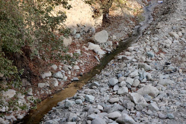 <p>A trickle of water flows in the mainly dried-up Kan River, west of Tehran, on 9 November</p>