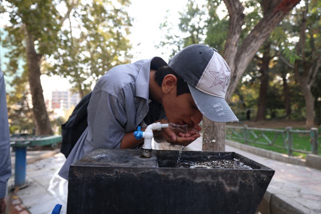 <p>Someone drinks water from a fountain in Mellat Park in Tehran, as Iran faces severe water shortages</p>