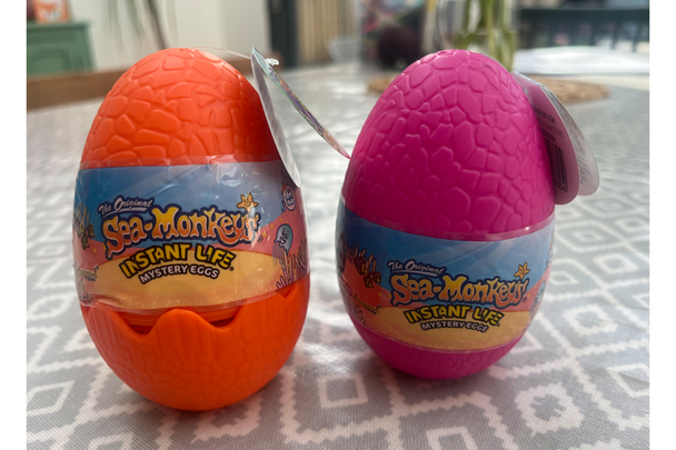Sea Monkeys the original ocean zoo