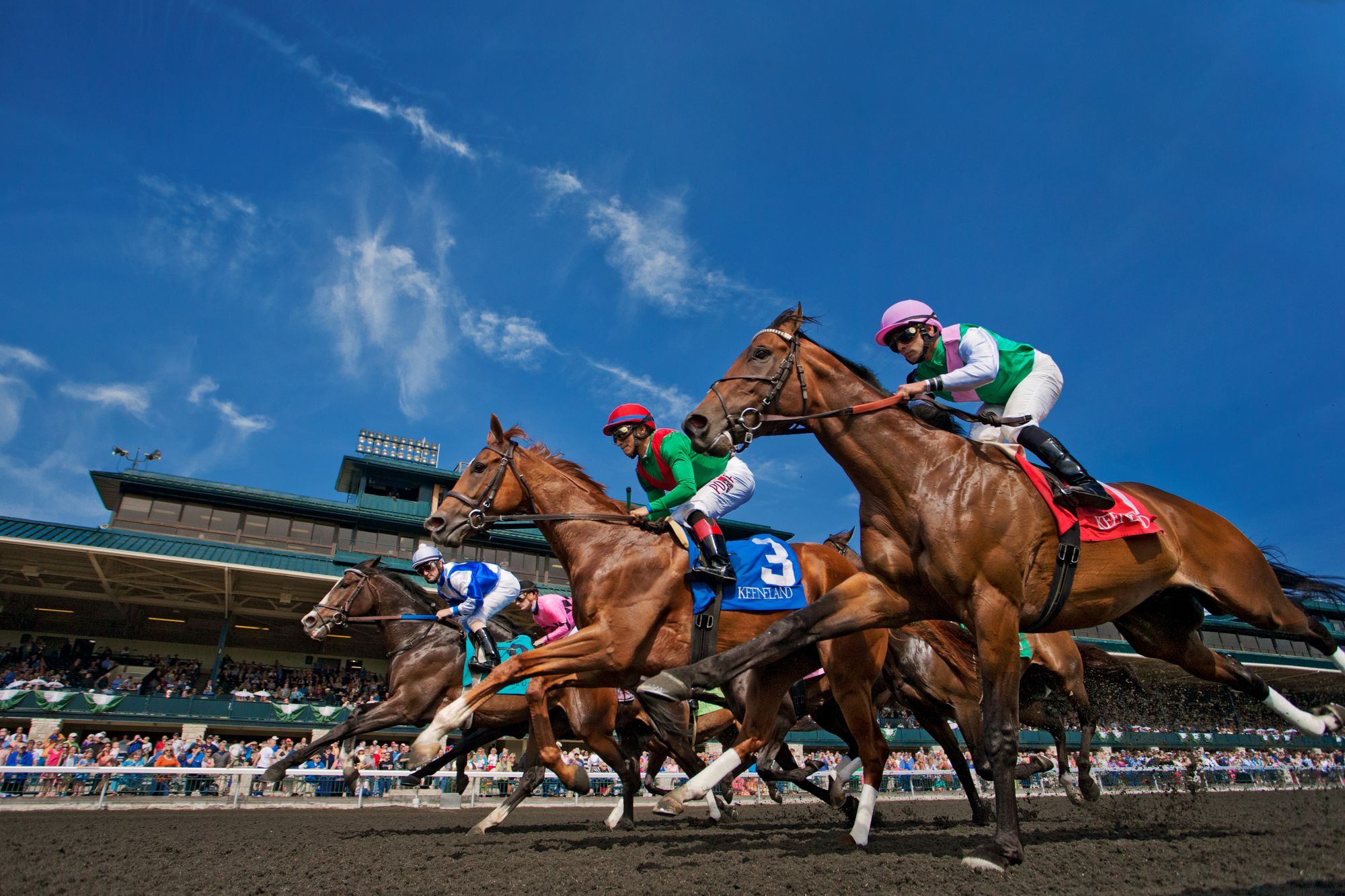 Lexington is a race horse capital, where the local dishes are as exciting as the track-side atmosphere