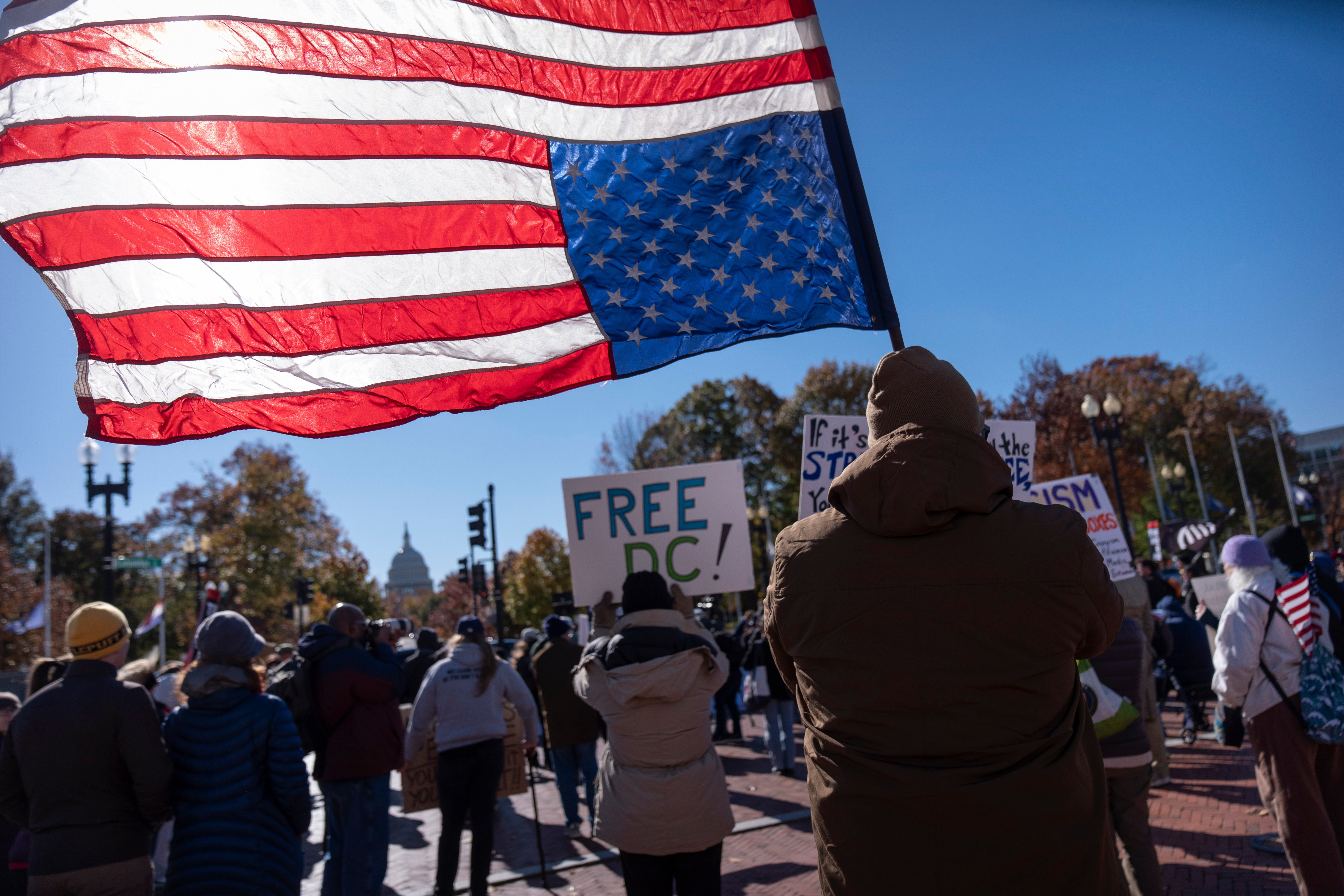 APTOPIX Veterans Day Protest