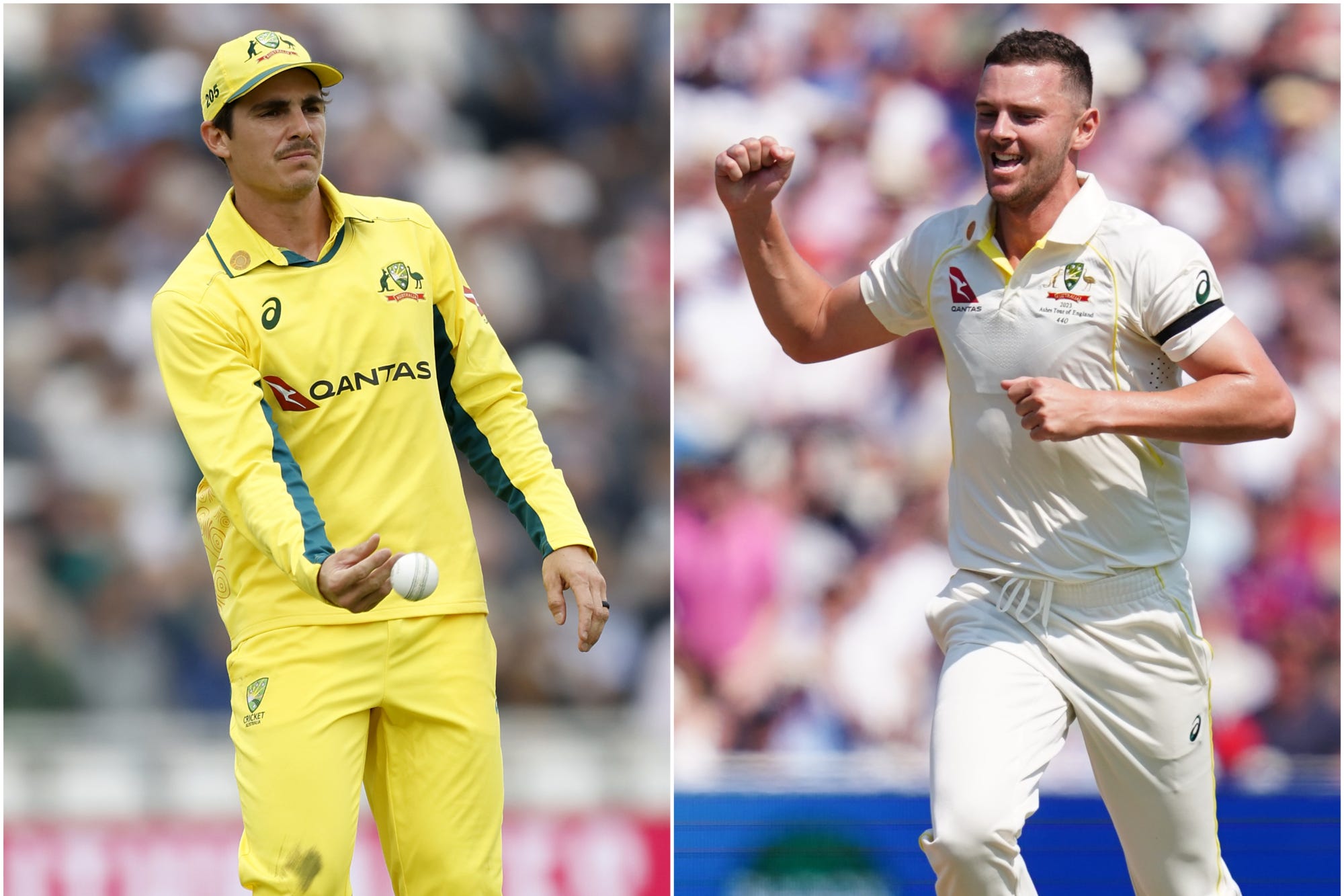 Sean Abbott and Josh Hazlewood (PA Images)