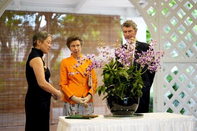 <p>Princess Anne and Sir Tim Laurence with the ‘Dendrobium Anne’ orchid</p>