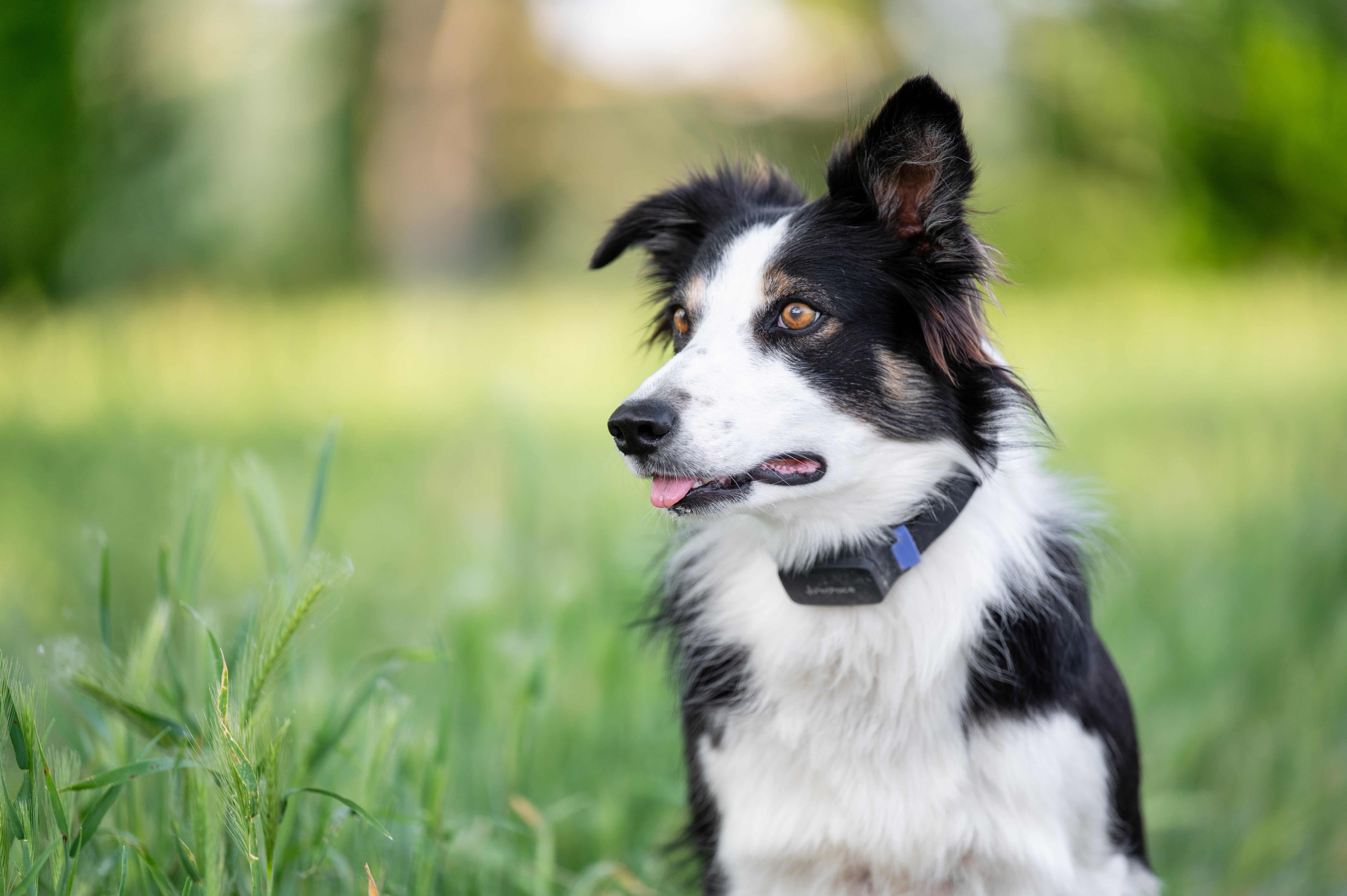 Holiday Gift Guide-Game Changers