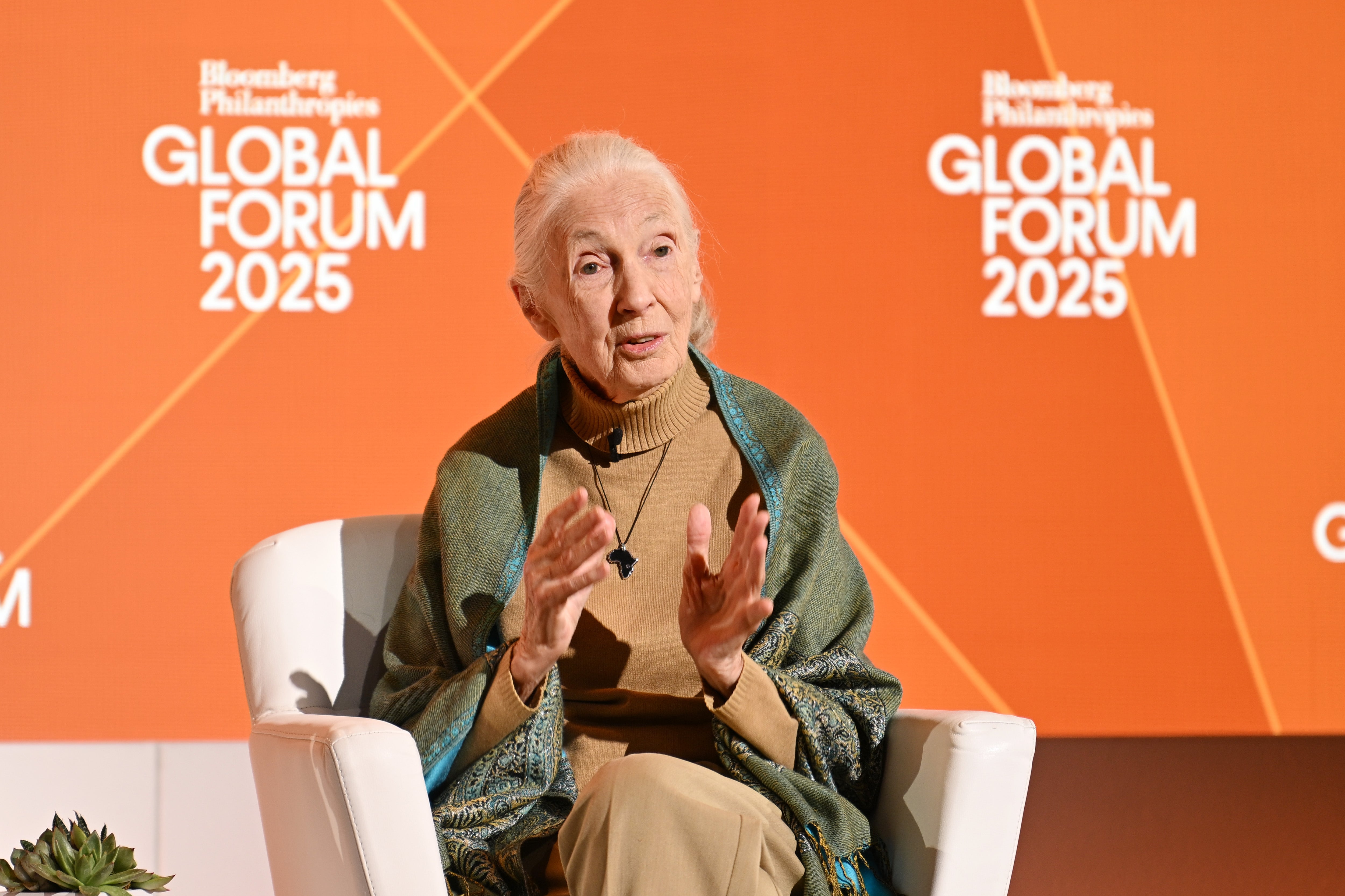 Jane Goodall speaks onstage at the Bloomberg Philanthropies Global Forum 2025 at The Plaza Hotel on September 24, 2025 in New York City