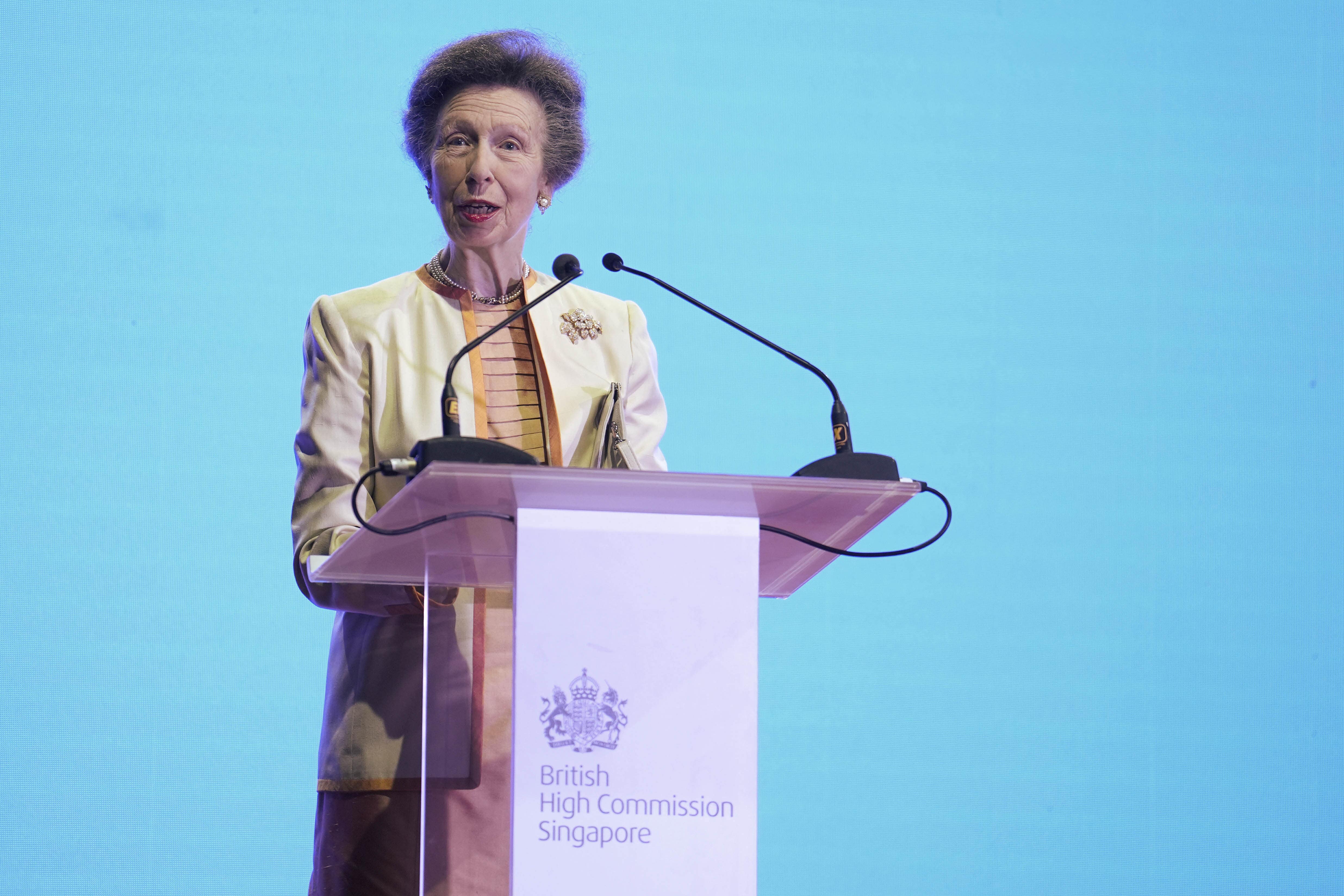 The Princess Royal spoke at a party to celebrate the King’s birthday in Singapore (Jordan Pettitt/PA)