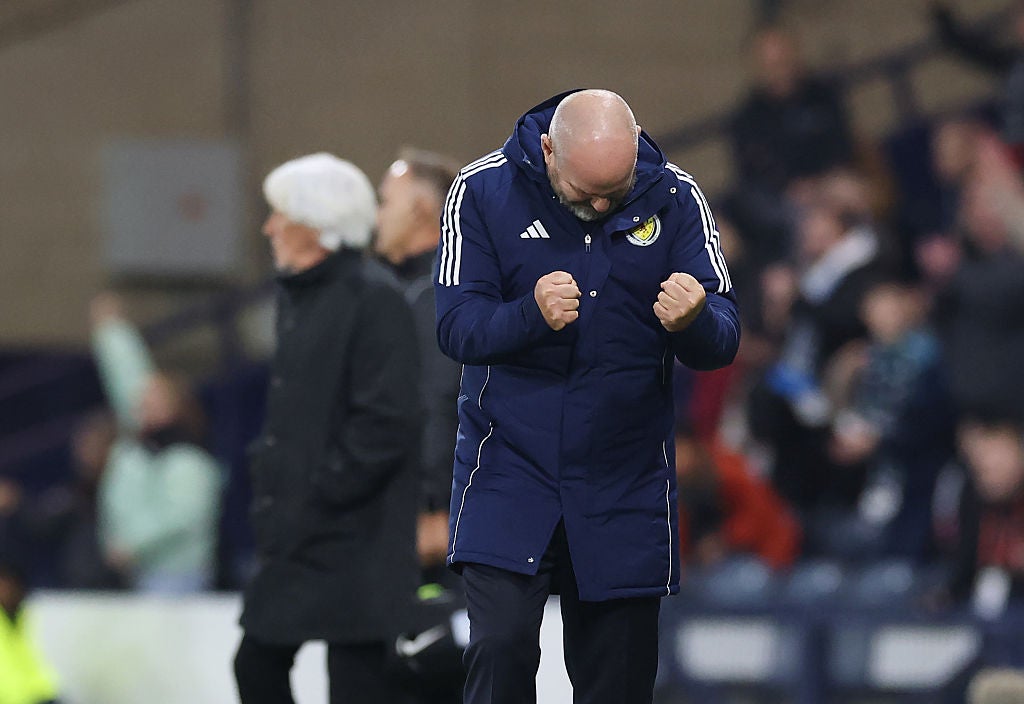 <p>The final two games of qualifying will likely define Steve Clarke's tenure </p>