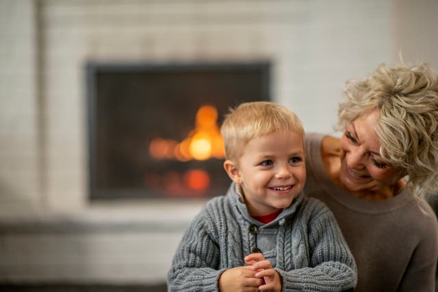 <p>Experts say increased exposure to appliances, pets and other sources of irritants can be harmful this winter</p>