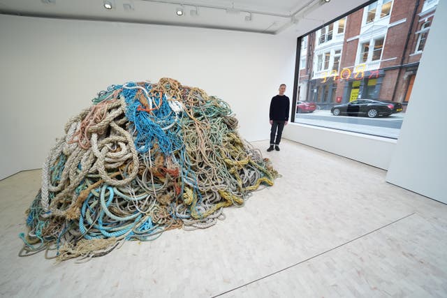 <p>Money for old rope: Artist David Shrigley scoured the country for lengths of used rope for the artwork</p>