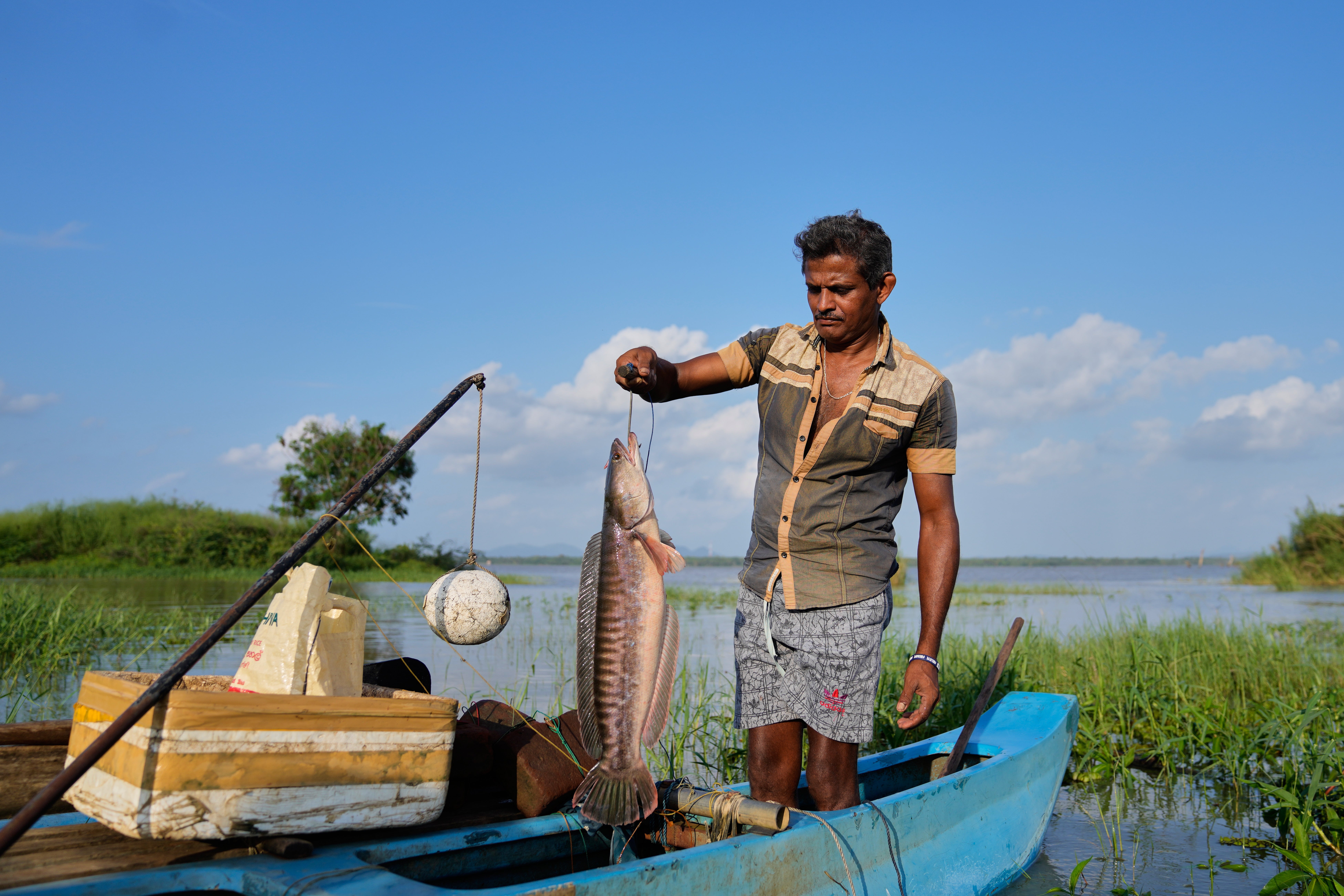 <p>Ranjith Kumara lifts a giant snakehead he caught at the Deduru Oya Reservoir</p>