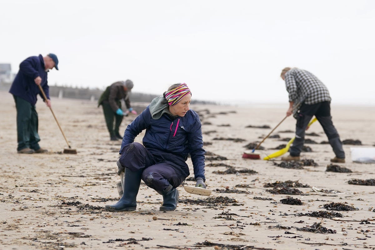 Vegetables, chips and insulation wash ashore English beach