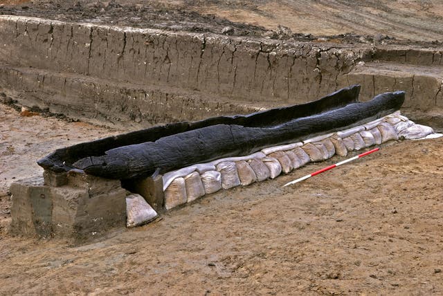 <p>One of three log boats which will go on display at Flag Fen Archaeology Park</p>