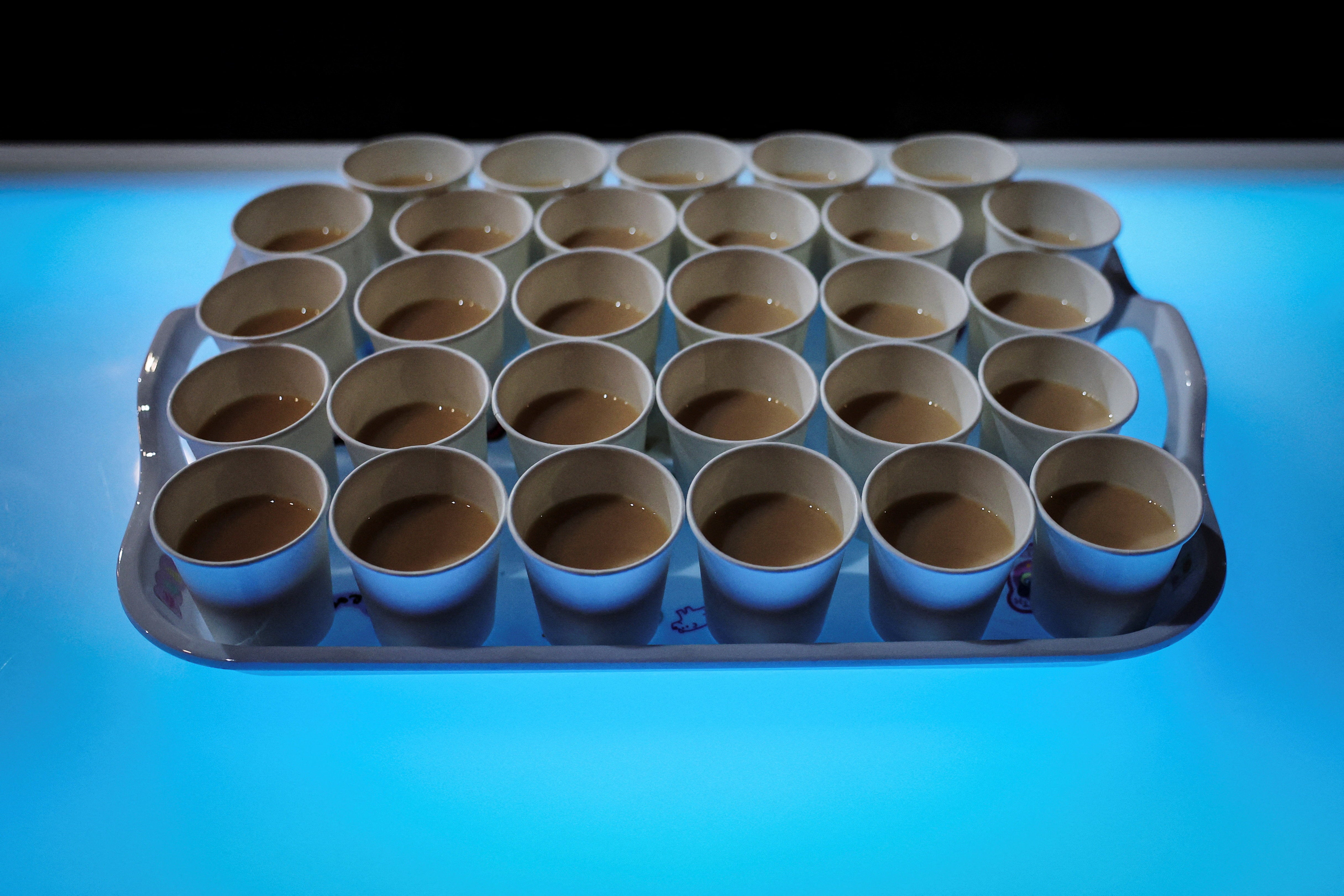 Protein drinks for customers sit on a serving tray at Muscle Girls