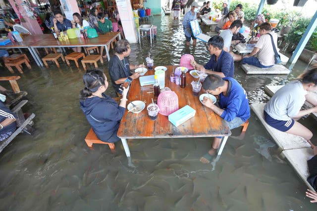 <p>Diners at the Pa Jit restaurant enjoy their meals as fish swim in the aisles due to flooding from the Tha Chin River in Thailand's Nakhon Pathom Province west of Bangkok, Thailand</p>