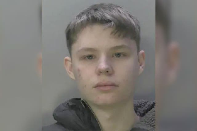 <p>Thomas Waller, now 18, was found guilty of multiple offences, including rape and inciting a child to engage in sexual activity, earlier this year</p>