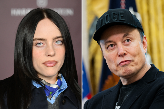 <p>Billie Eilish (left) branded Elon Musk a 'f***ing pathetic pussy b**** coward' </p>