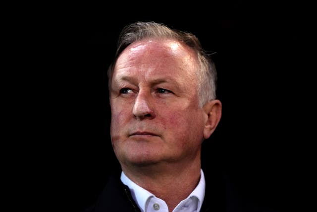 Northern Ireland manager Michael O’Neill cut a frustrated figure (Ben Whitley/PA)
