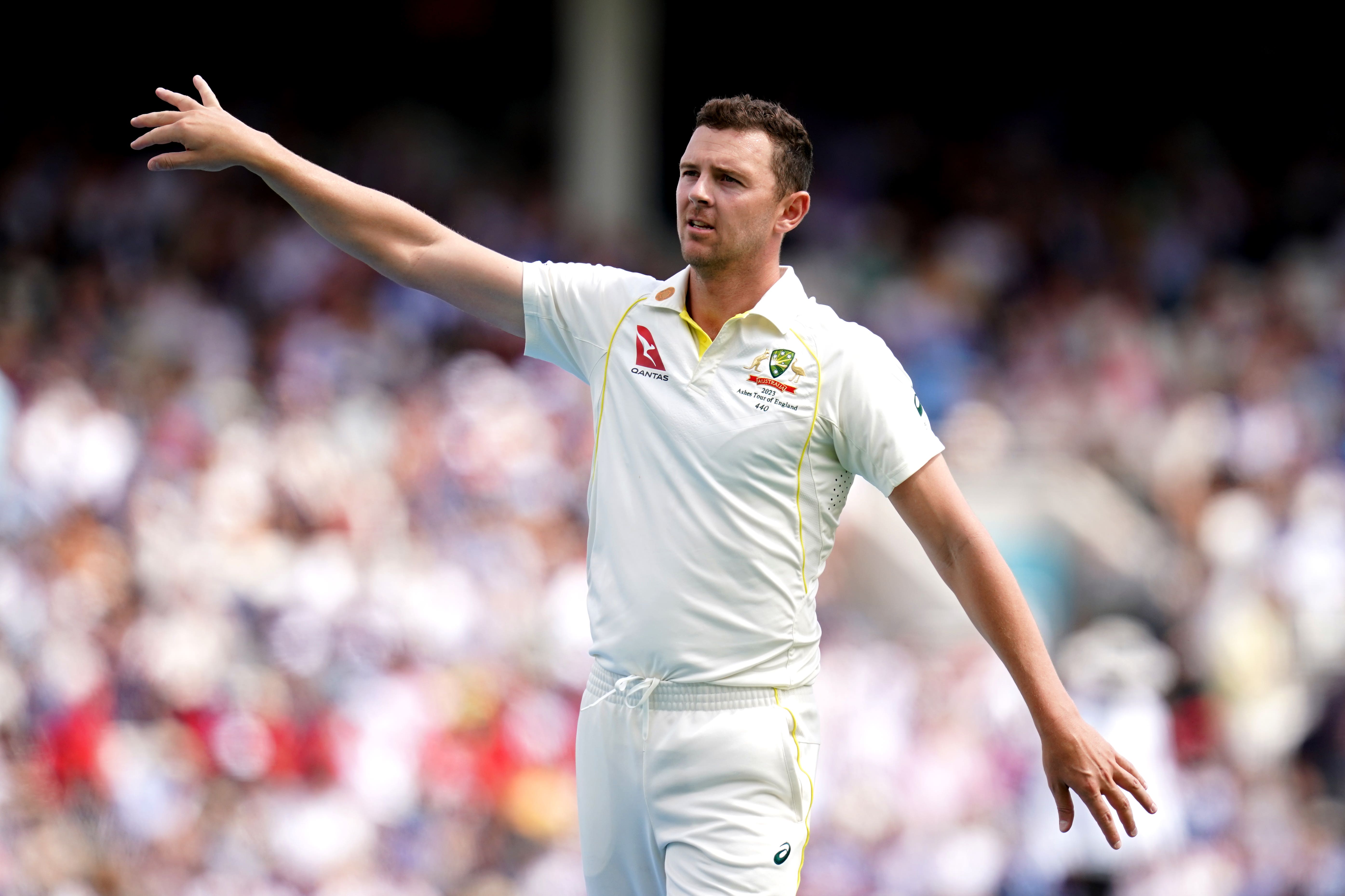 Josh Hazlewood de Australia se perderá el resto de las Cenizas